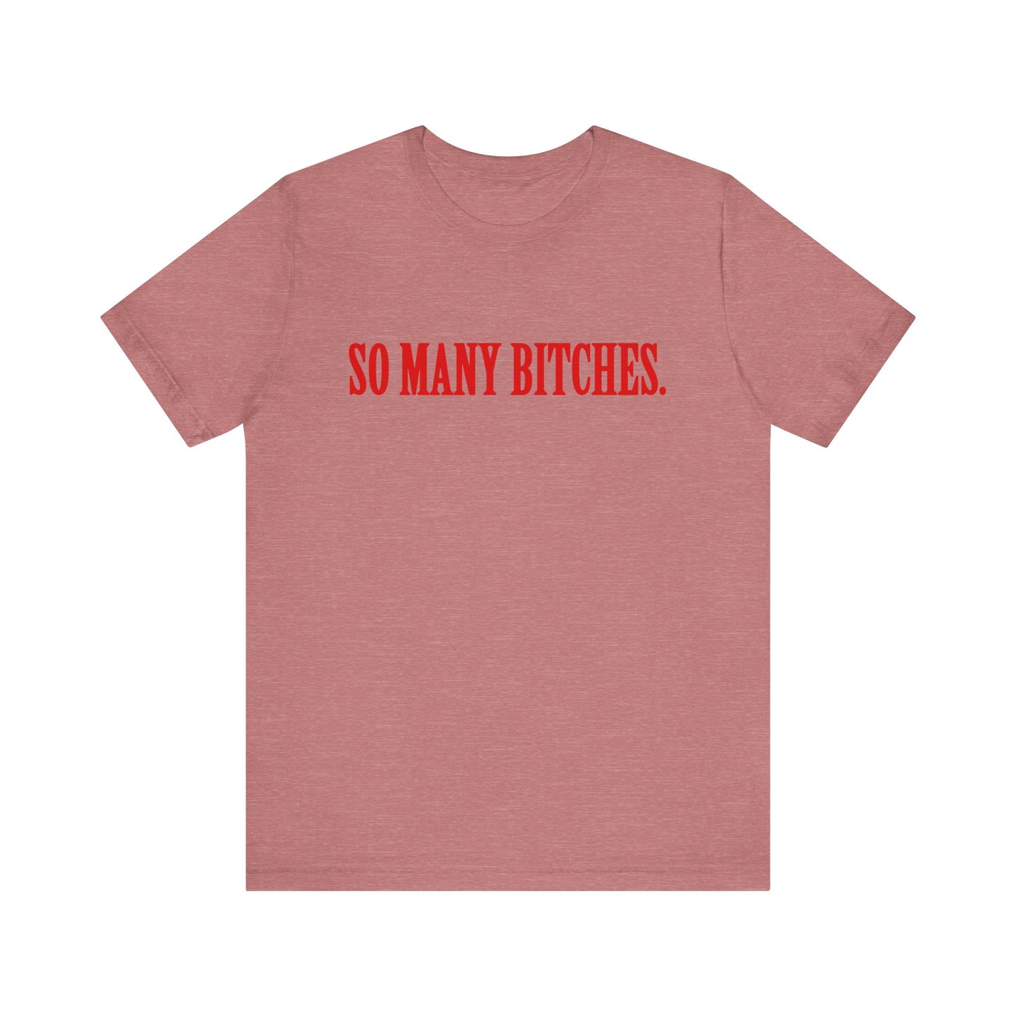 Funny Unisex Jersey Short Sleeve Tee - So Many Bitches Design