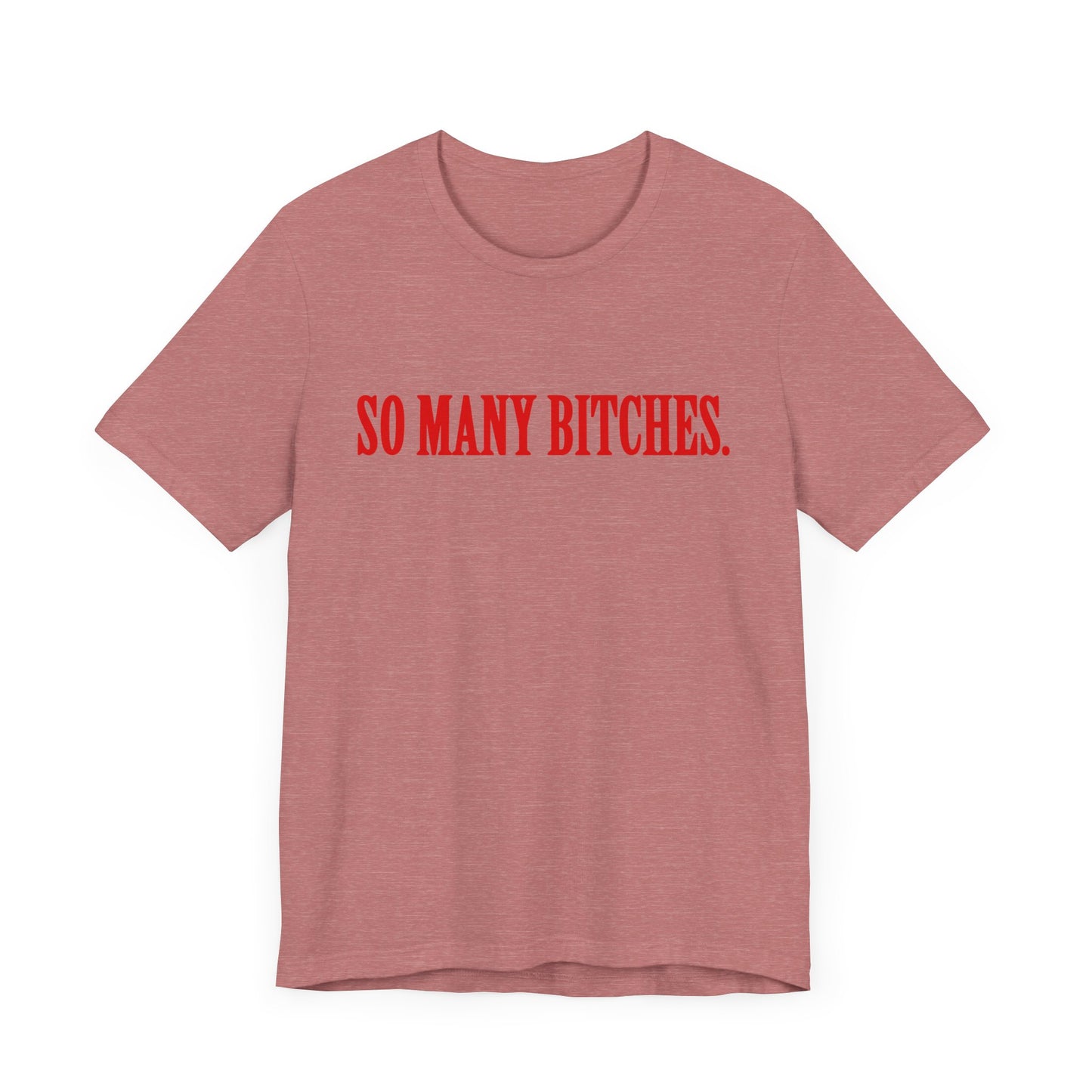 Funny Unisex Jersey Short Sleeve Tee - So Many Bitches Design